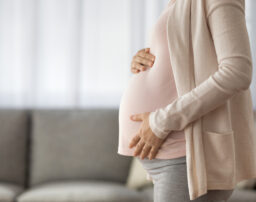 離婚後に妊娠が発覚したら…戸籍・親権・養育費について解説