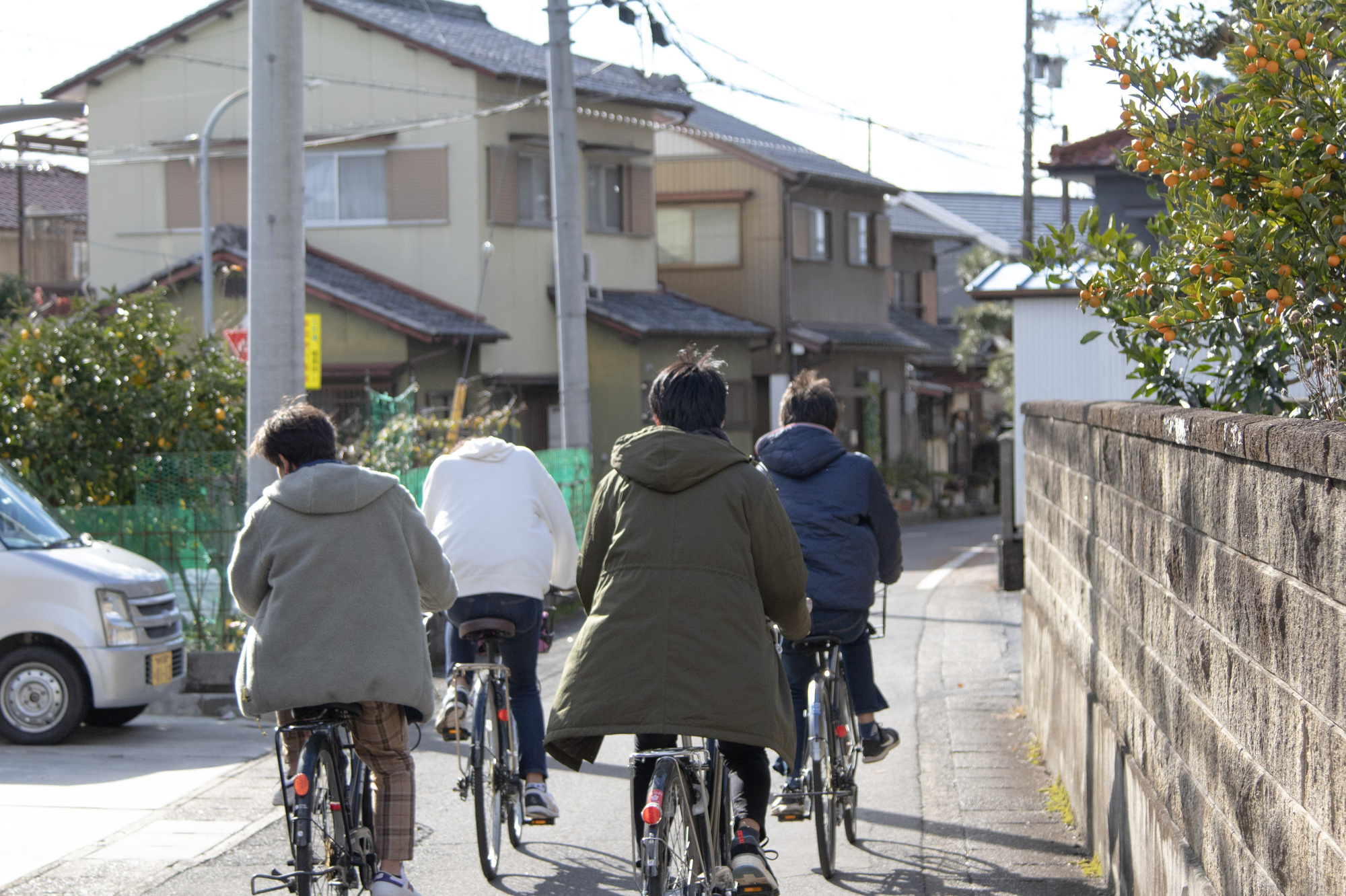 19歳が飲酒し運転 自転車に衝突 京都 容疑で逮捕 9