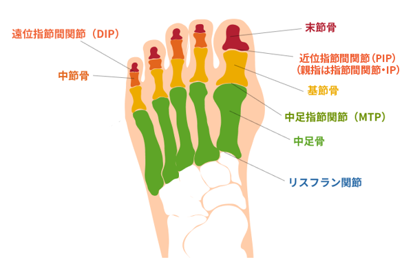 交通事故で足の指が曲がらない 後遺障害等級と慰謝料について解説 リーガライフラボ