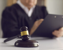 【離婚裁判】本人尋問の流れと成功させるポイントを弁護士が解説