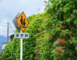 交通事故で学生が死亡した場合逸失利益は認められる？計算方法も解説