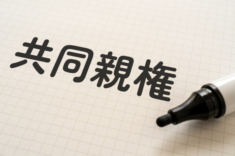 離婚後の共同親権導入で養育費はどう変わる？未払い対策も解説